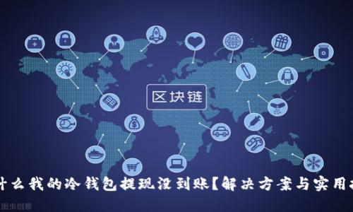 为什么我的冷钱包提现没到账？解决方案与实用技巧