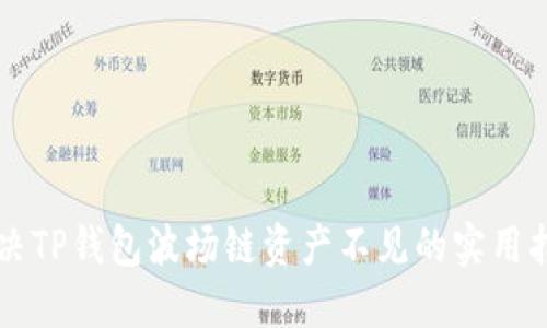 解决TP钱包波场链资产不见的实用指南
