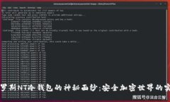 揭开俄罗斯NT冷钱包的神秘面纱：安全加密世界的