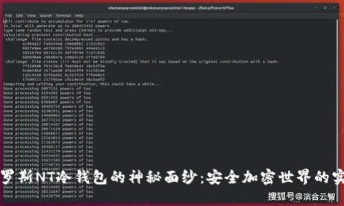 揭开俄罗斯NT冷钱包的神秘面纱：安全加密世界的实用指南