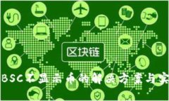 TP钱包BSC不显示币的解决方案与实用技巧