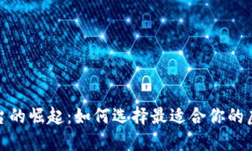 数字钱包平台的崛起：如何选择最适合你的虚拟支付工具