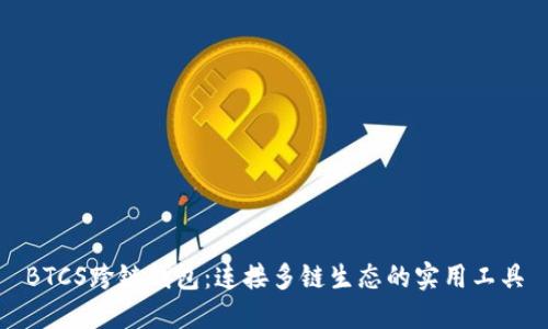 BTCS跨链钱包：连接多链生态的实用工具