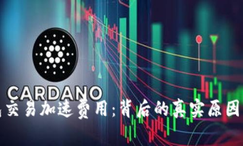 揭秘TP钱包交易加速费用：背后的真实原因与实用攻略