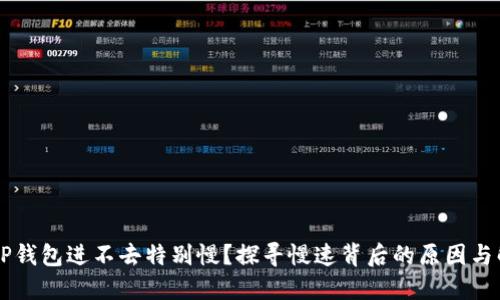 为什么TP钱包进不去特别慢？探寻慢速背后的原因与解决方法