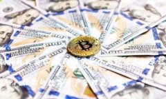 注意：由于内容的字数限制和格式要求，我将提