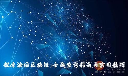 探索波场区块链：全面查询指南与实用技巧