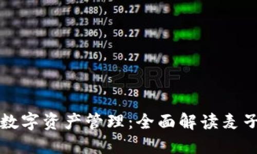 智能安全的数字资产管理：全面解读麦子钱包冷钱包