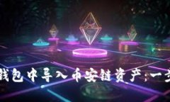 如何在TP钱包中导入币安链资产：一步一步指南