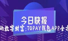 掌控你的数字财富：TOPAY钱包APP全方位指南