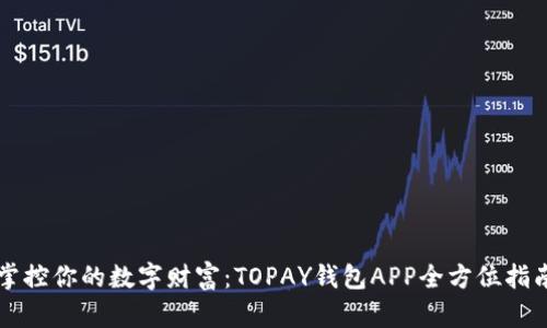 掌控你的数字财富：TOPAY钱包APP全方位指南