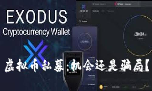 虚拟币私募：机会还是骗局？