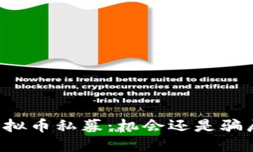 虚拟币私募：机会还是骗局？