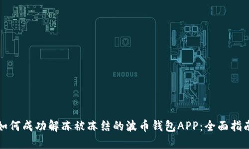 如何成功解冻被冻结的波币钱包APP：全面指南