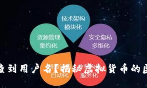 : 提币地址能否查到用户名？揭秘虚拟货币的匿名性与隐私保护