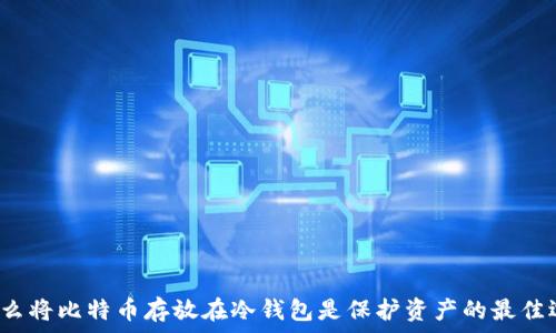   
为什么将比特币存放在冷钱包是保护资产的最佳选择？