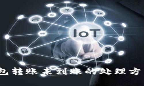 bianotiTP钱包转账未到账的处理方法与查询技巧