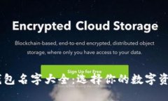 USDT钱包名字大全：选择你的数字资产港湾