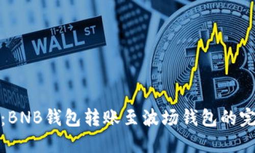 : 揭秘：BNB钱包转账至波场钱包的完整指南