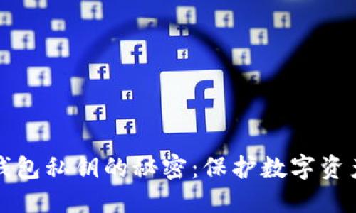 探索TP钱包私钥的秘密：保护数字资产的基石