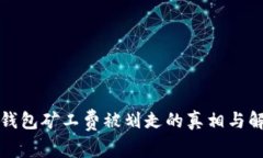 揭秘冷钱包矿工费被划走的真相与解决方案