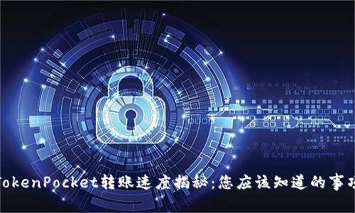 TokenPocket转账速度揭秘：您应该知道的事项