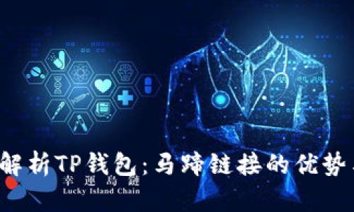  深度解析TP钱包：马蹄链接的优势与应用
