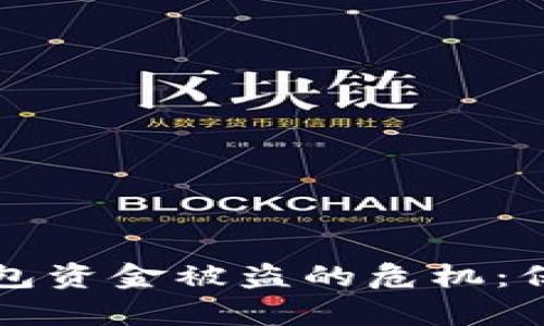 如何应对TP钱包资金被盗的危机：保护与恢复指南