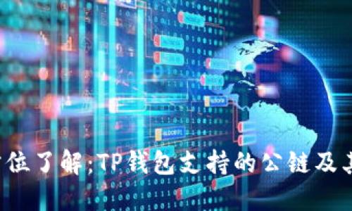  全方位了解：TP钱包支持的公链及其特点