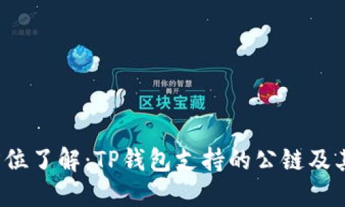  全方位了解：TP钱包支持的公链及其特点