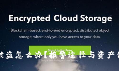 TP钱包被盗怎么办？报警途径与资产保护指南