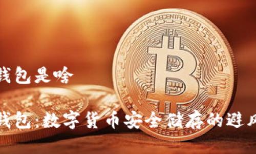 冷钱包是啥

冷钱包：数字货币安全储存的避风港