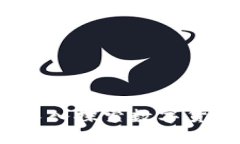 保护您的数字资产：深入探索数字货币冷钱包开