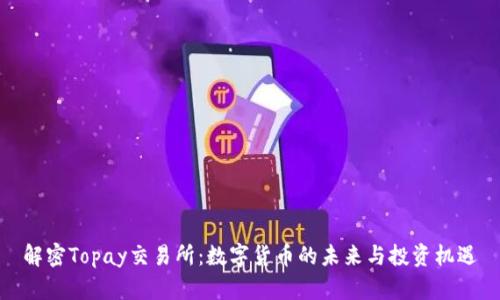 解密Topay交易所：数字货币的未来与投资机遇