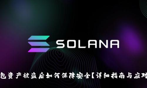 TP钱包资产被盗后如何保障安全？详细指南与应对策略