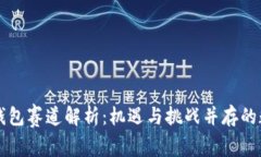 王者荣耀冷钱包赛道解析：机遇与挑战并存的数