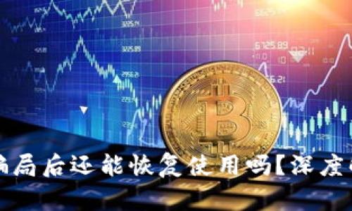 TP钱包被空投骗局后还能恢复使用吗？深度解析与解决方案