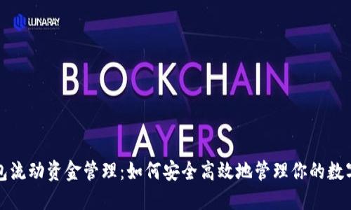 TP钱包流动资金管理：如何安全高效地管理你的数字资产