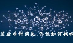  TP钱包重装后币种消失，你该如何找回你的资产