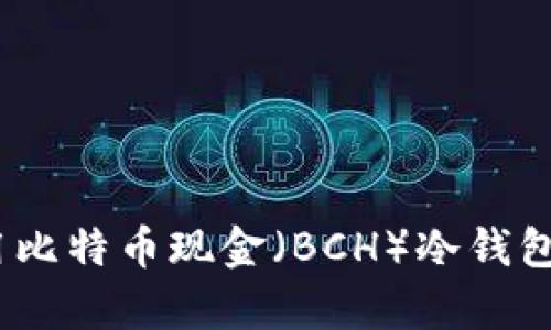 安全存储：如何使用比特币现金（BCH）冷钱包保护你的数字资产