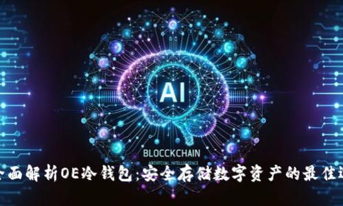: 全面解析OE冷钱包：安全存储数字资产的最佳选择