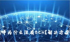 TP钱包中为什么没有BCH？解决方案与分析