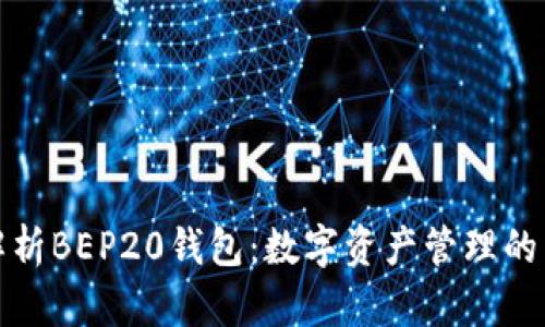 全面解析BEP20钱包：数字资产管理的新选择