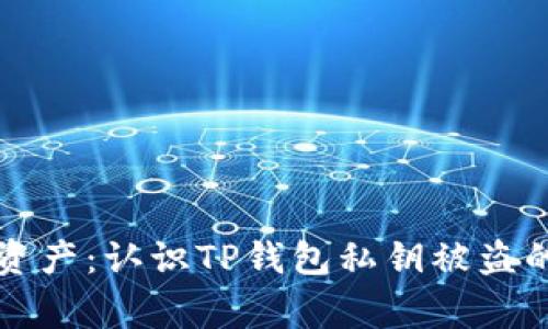 保护你的数字资产：认识TP钱包私钥被盗的几种常见方式