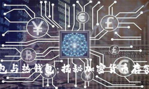 神秘的冷钱包与热钱包：揭秘加密货币存储的两大秘诀