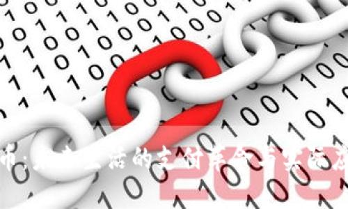 数字货币：未来生活的支付革命与实际应用案例