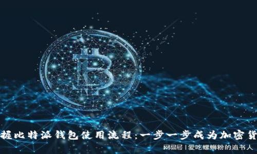 轻松掌握比特派钱包使用流程：一步一步成为加密货币专家
