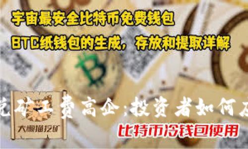 TP钱包闪兑矿工费高企：投资者如何应对新挑战