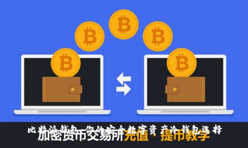 比特派钱包：你的安全数字资产冷钱包选择
