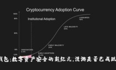 冷钱包：数字资产安全的新纪元，漫游是否已成